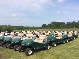 2020 E-Z-Go Fleet Carts 2020 E-Z-Go Fleet Carts