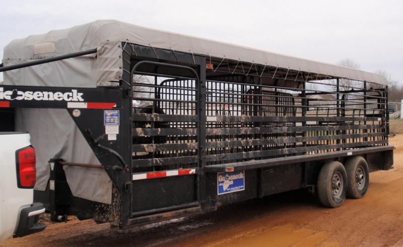 2007 GOOSENECK STOCK TRAILER 2007 GOOSENECK STOCK TRAILER