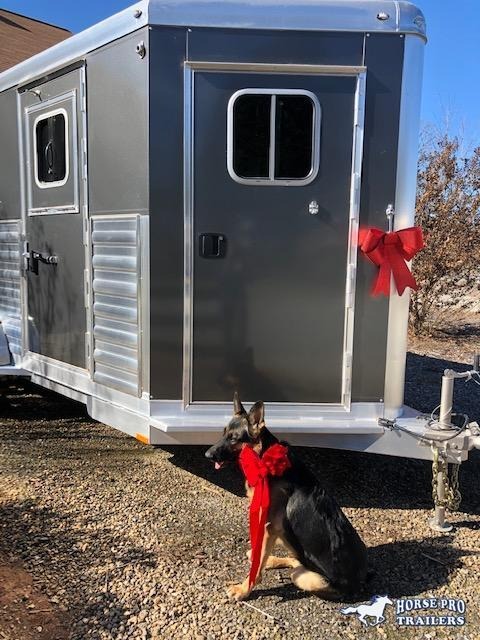 2020 4-Star 2 Horse Straight Load Bumper Pull w/ROOF INSULATION & FANS! 2020 4-Star 2 Horse Straight Load Bumper Pull w/ROOF INSULATION & FANS!